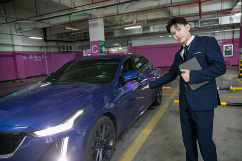 商務(wù)車(chē)豪車(chē)汽車(chē)銷(xiāo)售汽車(chē)顧問(wèn)車(chē)險(xiǎn)人物攝影圖 攝影