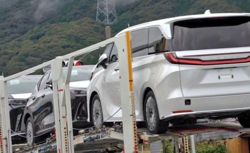 國(guó)產(chǎn)車用產(chǎn)品力干不過的車型 地表最貴面包車?yán)卓怂_斯lm售價(jià)公布